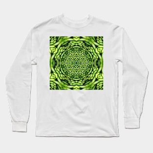 Vegetarian Kaleidoscope, Fruit Fantasy Patterns. 1 Cucumbers Long Sleeve T-Shirt